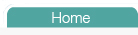 home button
